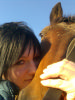click here to find out more about Jules